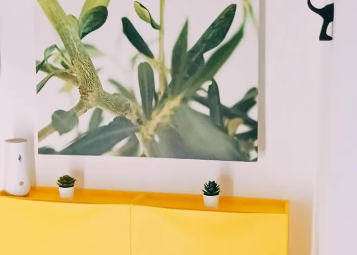 Disfruta En Bajamar * 바하마르