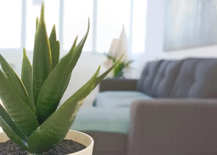 Disfruta En Bajamar *