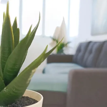 Disfruta En Bajamar *